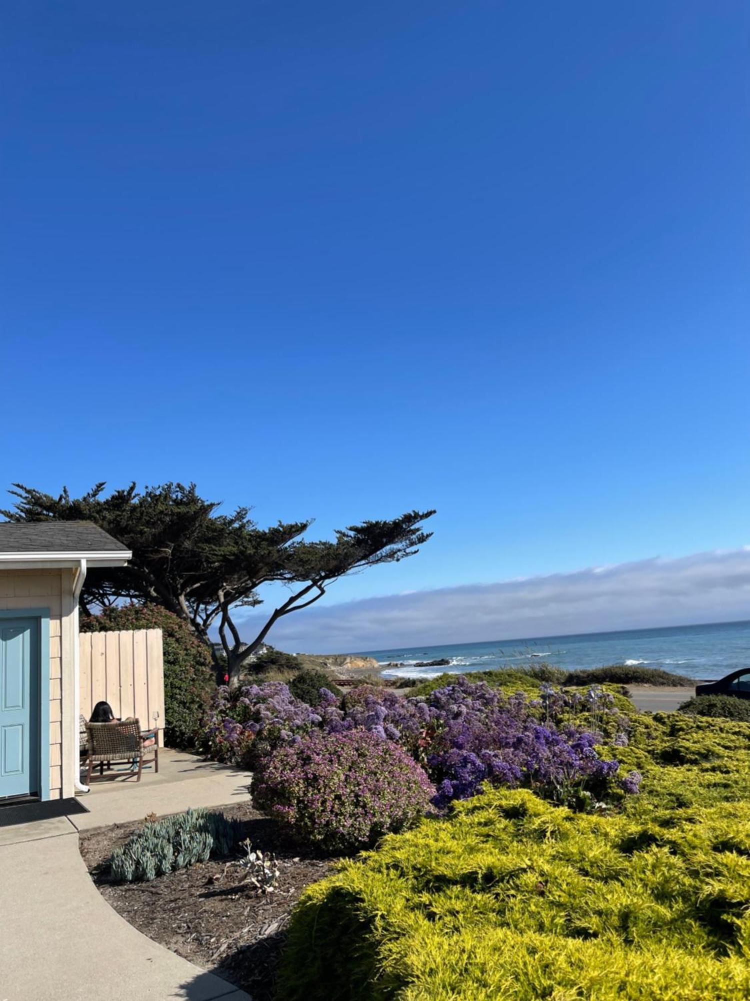 Cambria Landing Inn And Suites Eksteriør billede